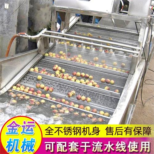 可定制氣泡清洗機 凈菜加工設備 菠菜油菜黃瓜芹菜洗菜機